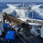 La Guardia Costiera di Lampedusa interviene sulla pesca illegale – Sequestro di attrezzi non consentiti