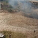 [VIDEO]Guardie WWF scoprono e filmano un incendiario mentre appicca il fuoco nelle campagne