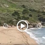 Spiaggia di Porto Palo di Menfi, il gesto irrispettoso dei motociclisti: l’appello di MareAmico