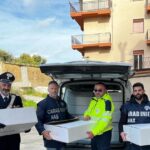 Militari del N.a.s. di Palermo e Compagnia Carabinieri di Agrigento devolvono a associazione benefica di Camastra 618 kg di prodotti dolciari sequestrati